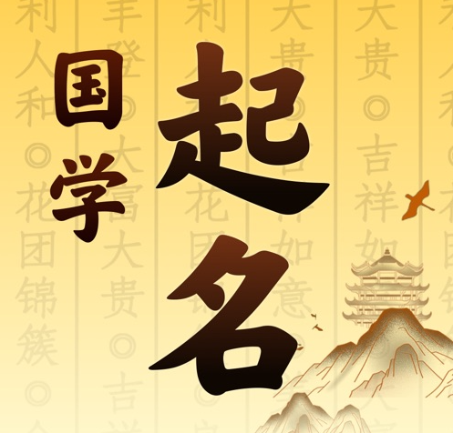 望城国学起名 人工起名一对一